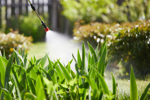 24/7 Emergency Cockroach Control experts in West Wood, UT