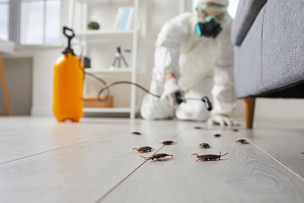Affordable Cockroach Control solutions in West Wood, UT